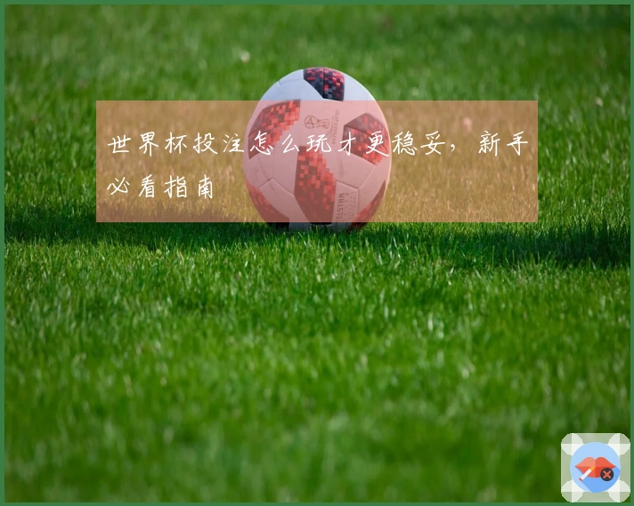 世界杯投注怎么玩才更稳妥，新手必看指南