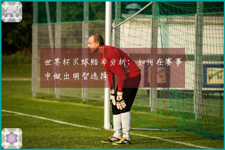 世界杯买球赔率分析：如何在赛事中做出明智选择
