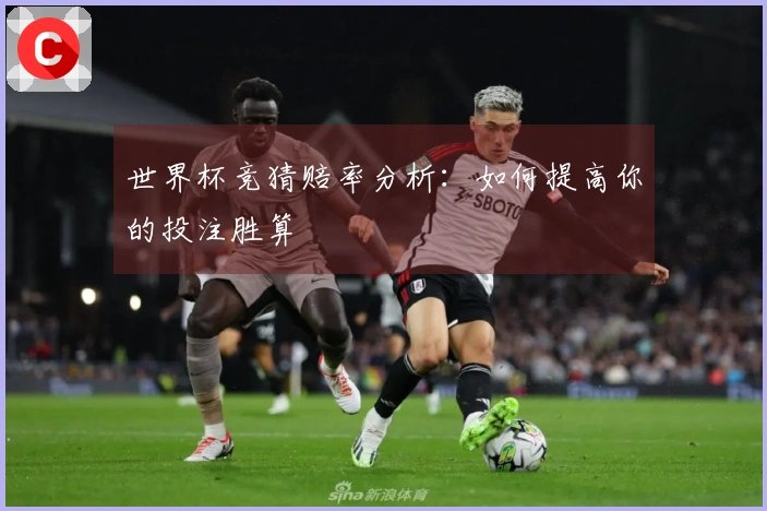 世界杯竞猜赔率分析：如何提高你的投注胜算