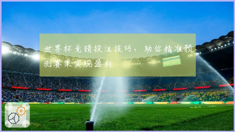 世界杯竞猜投注技巧，助你精准预测赛果实现盈利