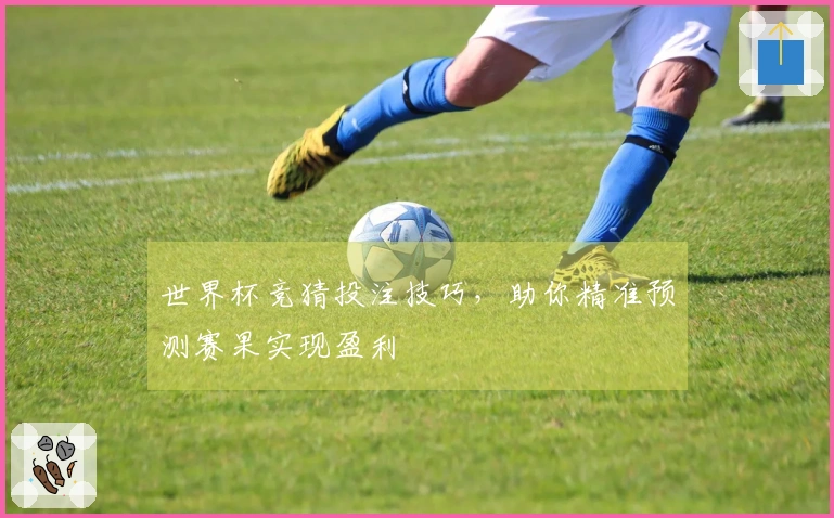 世界杯竞猜投注技巧，助你精准预测赛果实现盈利