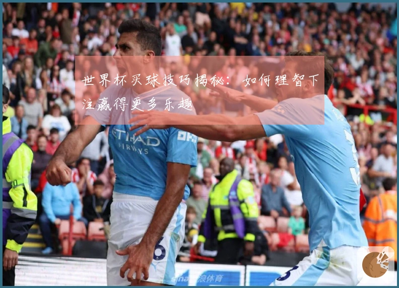世界杯买球技巧揭秘：如何理智下注赢得更多乐趣