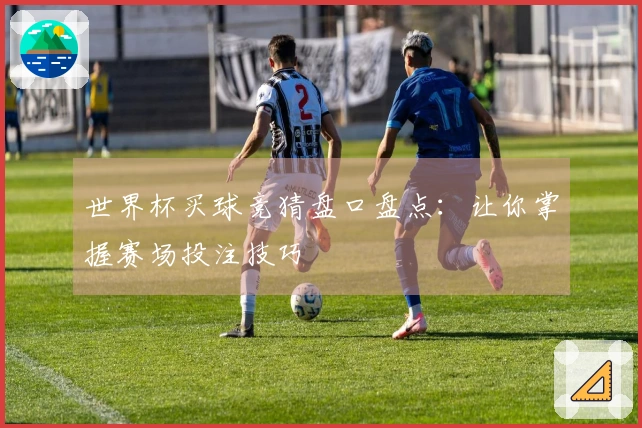 世界杯买球竞猜盘口盘点：让你掌握赛场投注技巧