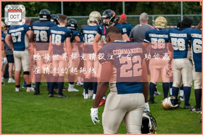 畅游世界杯竞猜投注平台，助你赢在猜测的起跑线