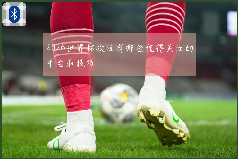 2026世界杯投注有哪些值得关注的平台和技巧