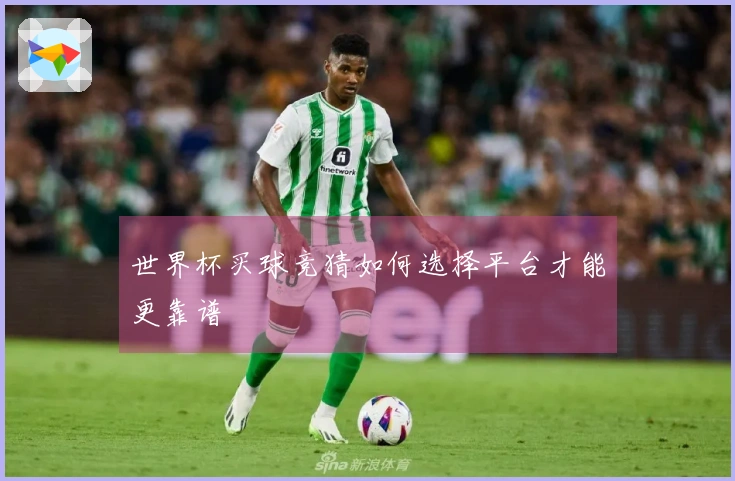 世界杯买球竞猜如何选择平台才能更靠谱