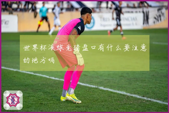 世界杯滚球竞猜盘口有什么要注意的地方吗